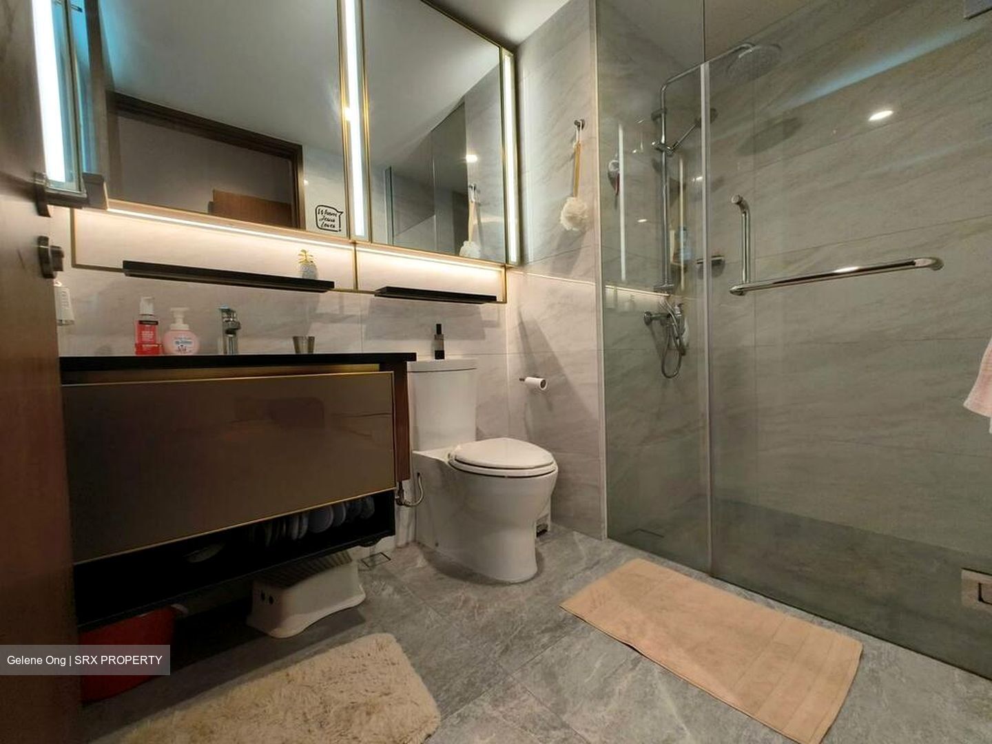 Normanton Park (D5), Apartment #558682191